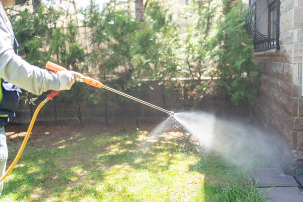 Professional Pest Control in Big Beaver, PA